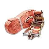 ラッシングベルト 耐荷重5.0t×10m 1本 ラチェットバックル 荷締め機