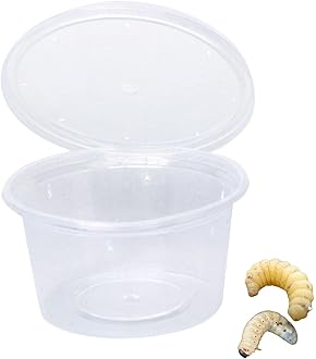 Amazon | 【KBファーム】タイベストシール 100枚セット(20