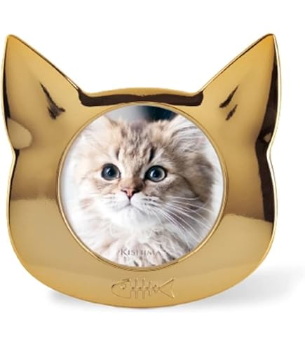 Amazon.co.jp: ネコ 顔はめ フレーム 顔ハメ写真 ねこ 顔ハメ 猫ちゃん