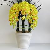 シンビジューム 光触媒 造花 鉢植え Mサイズ-3本立 下垂性 H75cm(黄-白鉢)