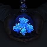 カワイイベアー (１．ピンク　ブルー発光)　”光るバラ”　ホタル プリザーブドフラワー