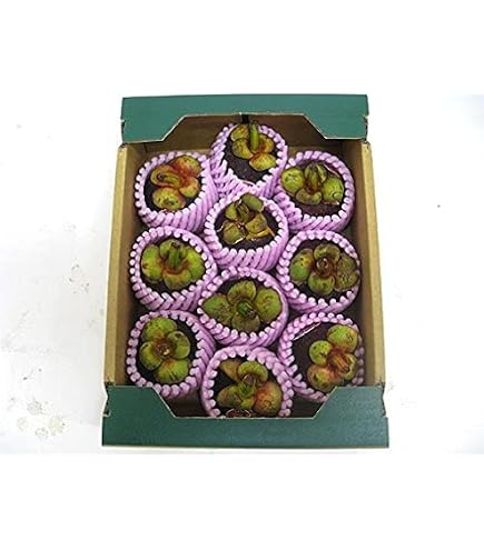 Amazon.co.jp: タイ産 フルーツ ポメロ 6kg (6-8玉) タイ輸入 タイの