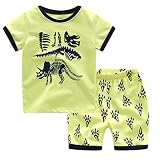 DDSOL 子供服 ボーイズ 綿100％ 春夏 半袖 パジャマ ルームウェア 恐竜柄 寝間着 上下セット 幼児服 キッズ服 2着セット