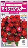 サカタのタネ 実咲花5041 マイクロアスター ステラ レッド 00905041
