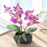 Yunt 人工花 造花 人工観葉植物 人工花 ホーム 結婚式 オフィス飾り　お祝い 誕生日 造花 おしゃれ 人気 かわいい お見舞い 院内の装飾 (パープル)