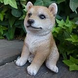 犬の置物 柴犬 いぬ イヌ 動物 Ｔ１４０７６ オーナメント ガーデン オブジェ 庭 雑貨 ガーデニング インテリア 雑貨 マスコット リアル デスプ