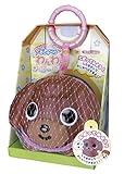 おさんぽしようよ!! おしゃべりわんわんボール トイプン