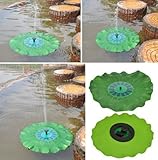 ソーラー発電の噴水