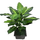 (キッズ ハウス) KIDS HOUSE 人工観葉植物 【 観葉植物 造花 鉢 】 おしゃれ インテリア グリーン 緑 植物
