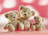 Rudolph Schaffer Luca Teddy Soft Toy (26 cm) by Rudolph Schaffer