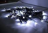 太陽発電 ソーラー充電 LED 白色 100球 イルミネーション ガーデンライト + ソーラー LED キーホルダー 付き
