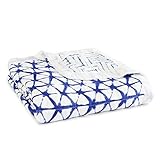 aden + anaisレーヨンからBamboo Dream Blanket パープル 9317