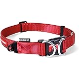 EZYDOG(イージードッグ) 首輪 [正規代理店品] ダブルロックカラー レッド 大型犬用 L サイズ