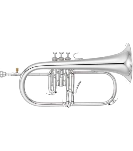 Amazon | 【国内正規品】 PLAYTECH プレイテック フリューゲルホルン