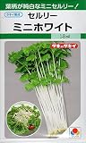 【種子】ミニセルリー　ミニホワイト　タキイ　野菜