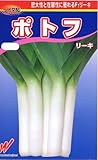【種子】リーキ ポトフ 9ml