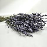 Firlar Real lavender　ラベンダーパープル 天然ラベンダー　 花束 家庭やパーティーの装飾 明るい色合い 癒しを演出　飾り物　可愛い　テーブル飾り　お祝い　バレンタインの日ギフト
