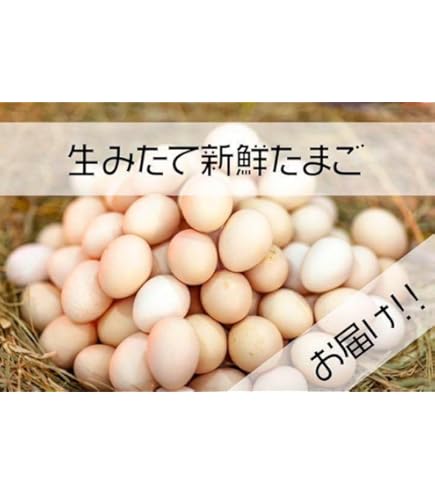 Amazon | 鶏卵 Lサイズ 1パック 10玉入 | 鶏卵 | 鶏卵 通販