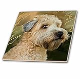 犬ソフトコーティングウィートンテリア – ソフトコーティングウィートンテリア肖像 – タイル 4" ct_4808_1