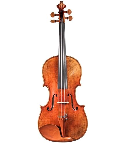 Amazon | D Z Strad Violin - Model 200 | バイオリン | 楽器・音響機器