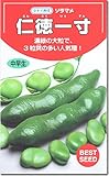 そらまめ 種子 仁徳一寸ソラマメ 1dl 約20粒