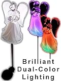 Acrylic Solar Angel Lights with A Frosted Skirt Solar Garden Stake - Box of 2 [並行輸入品]