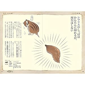 おもしろい!進化のふしぎ ざんねんないきもの事典