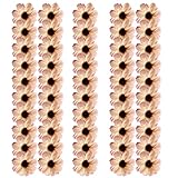 Perfk 全10色　デイジー　ミニフラワー　花ボール　装飾造花　人工シルク　フラワーヘッド　DIY素材　帽子飾り　3.5cm　結婚式　約50個 - シャンパン