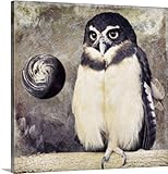 Color Bakeryプレミアムシックラップキャンバス壁アート印刷題名Moon Owl 36" x 36" 1406651_24_36x36_none