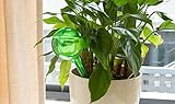 CANIS 水やり当番 植物 簡易 給水器 給水番 自動散水装置 (グリーン)