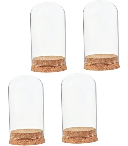 Amazon.co.jp: SUNNYCLUE 1箱10個 70mm ガラス ドーム ガラス瓶 容器