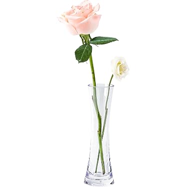 Amazon.co.jp Best Sellers: The most popular items in Vases
