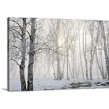 スーザン・ダイクストラプレミアムシックラップキャンバス壁アート印刷題名オンタリオ、カナダ、Birch Trees in the Fog 48" x 32" 2104155_24_48x32_none