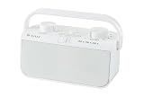 【セット品】テレビ用スピーカー TY-WSD20(W) ホワイト 1台・ボタン電池 LR41H 1個（ジェネリック）