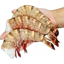 51nSE5TkJHL._AC_UL210_SR210,