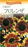 絵袋詰種子『ひまわり フロレンザ』