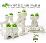 ギフト装飾のための良い本物の植栽の草の小さな花瓶のEALグラス4 PCS新着シリーズ