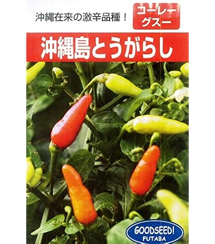 唐辛子種子　朝鮮なんばん Amazon | 唐辛子 種 【 朝鮮なんばん (激辛) 】 種子 10ml | 野菜