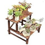 RBHJZ 屋外腐食防止木製バルコニーフラワースタンドリビングルームガーデンフロア - タイプソリッド2層ラダーフラワーシェルフ A+ ( サイズ さいず : Two layers of 120cm 