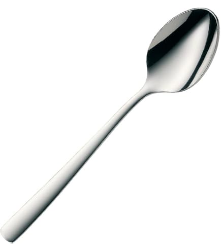 Amazon | WMF Taika 20-Piece Stainless Steel Flatware Set, Service