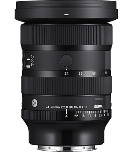 Sigma 28-70mm F2.8 DG DN for Sony E : Amazon.sg: Electronics