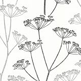 Brewster 2532-20427 Albury Brasilia Flower Wallpaper Black [並行輸入品]