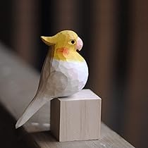 51nVgYWBM1L._AC_UL210_SR210,