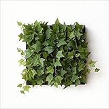 フェイクグリーン 人口観葉植物 壁飾り ウォールデコレーショングリーン A [sik7130]