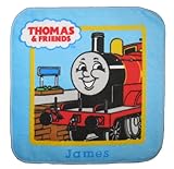 西川産業 機関車トーマス ミニテリー ジェームス WFY3502703-J