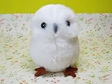 ぬいぐるみ スターチャイルド 白フクロウ