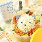 BunBunBee ペット・アレンジ＆線香セット「にゃんこと季節の想い出」イエロー