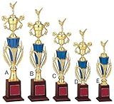 ＷＩＮ　トロフィー【 ソフトボール男子 】 J-2341D