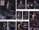 s.i.c. ｖｏｌ.7 仮面ライダー１号