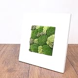 A plus floral art インテリアグリーン モスフレーム アレンジ Crop Moss 正方形 白 フェイクグリーン 観葉植物 造花 壁掛け